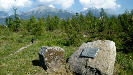 Rodiaci sa nový les po víchrici ...